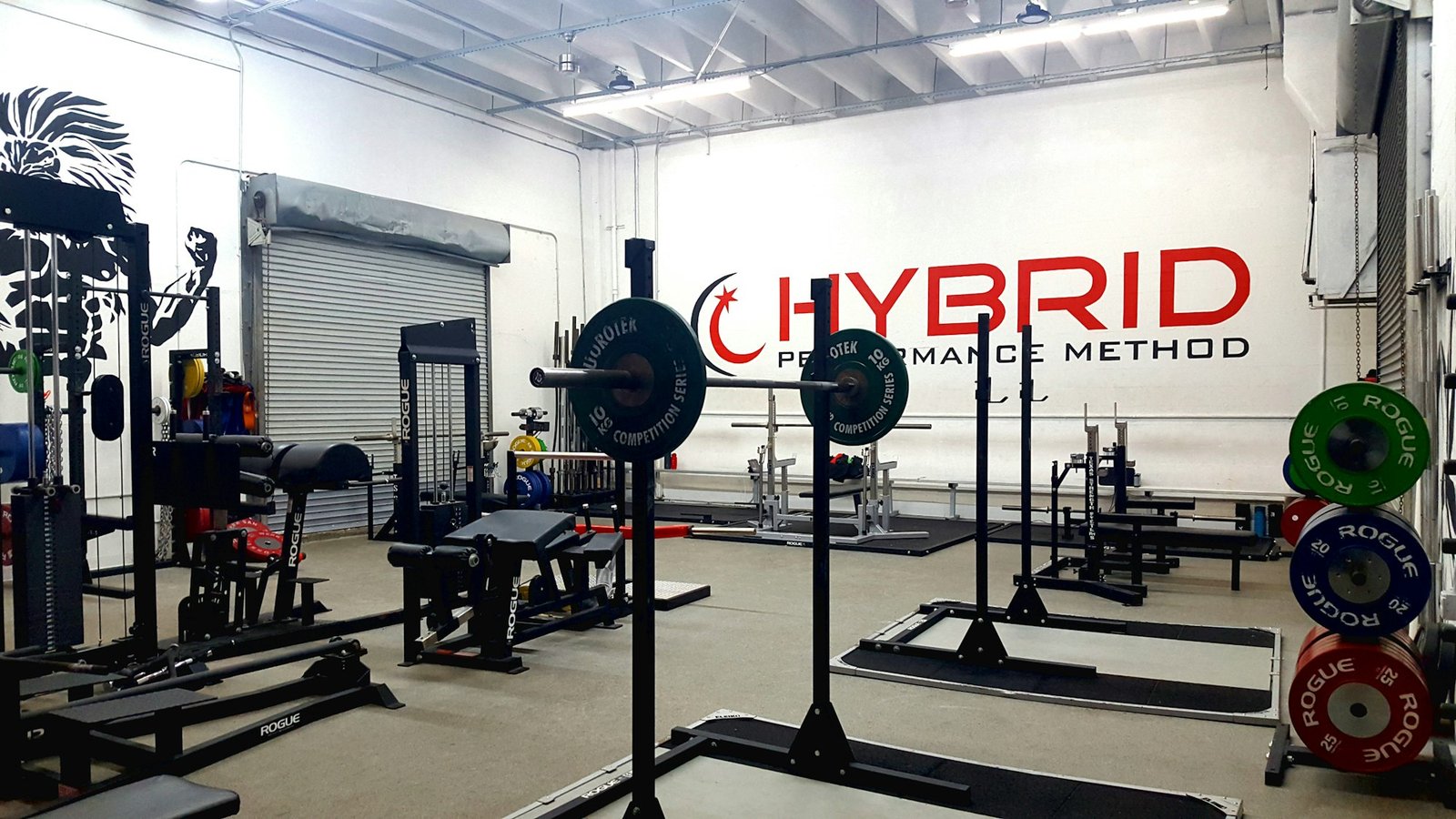 gym strive